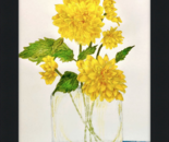 from nannies garden