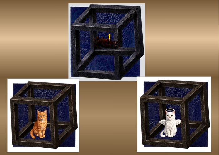 "Schrödinger's Cats"triptych with 2 lenticulars