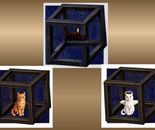 "Schrödinger's Cats"triptych with 2 lenticulars