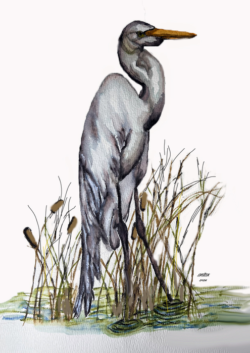 Nick's Crane