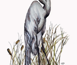 Nick's Crane