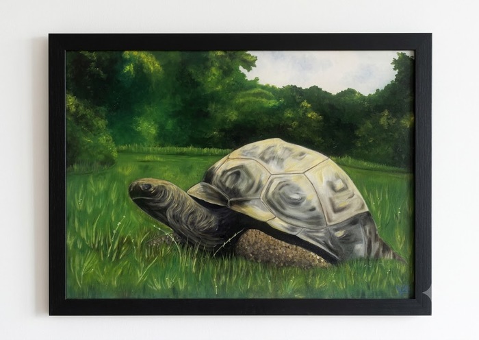 THE TURTLE