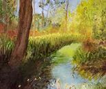 Peaceful Oasis