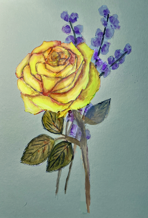 complementary colors