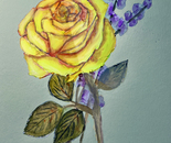 complementary colors