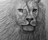 He's coming back as a lion