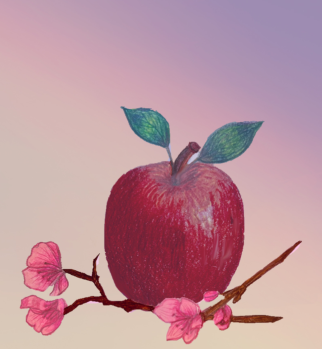 Apple picking time by Veronica Russo