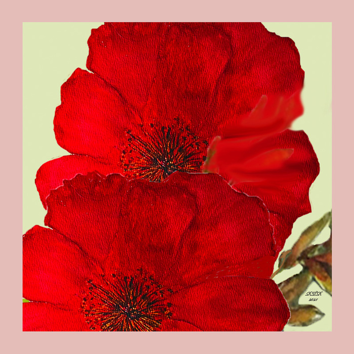 boldly red