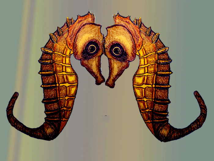 seahorse mates