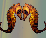 seahorse mates