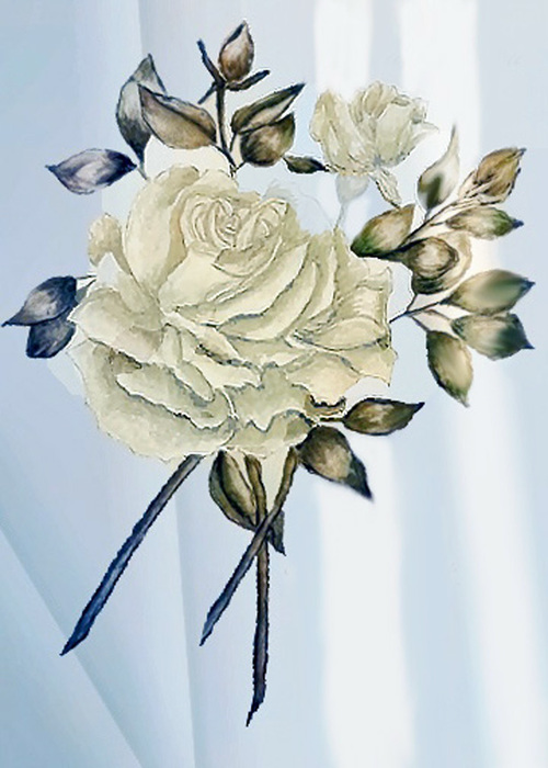 white rose