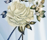 white rose