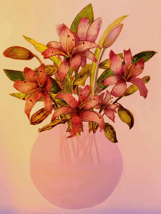 beautiful lilies