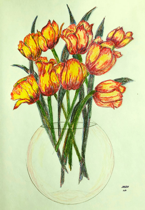yellow tulips