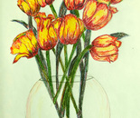 yellow tulips