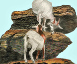 It's the climb