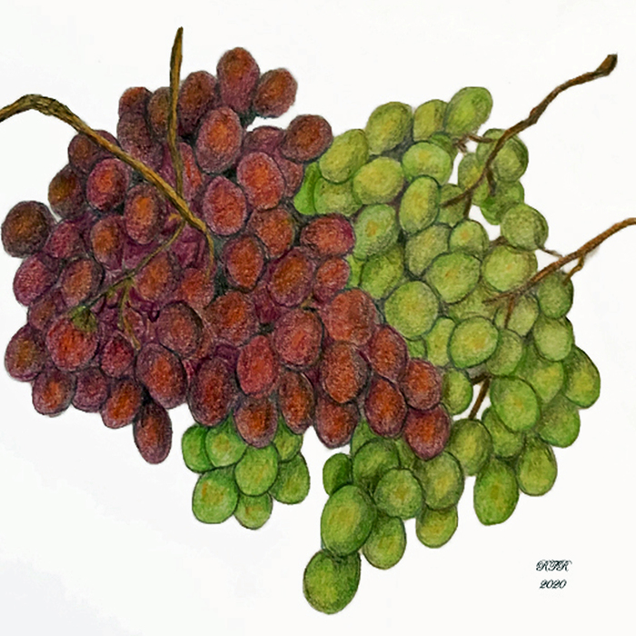 My Grapes of Wrath
