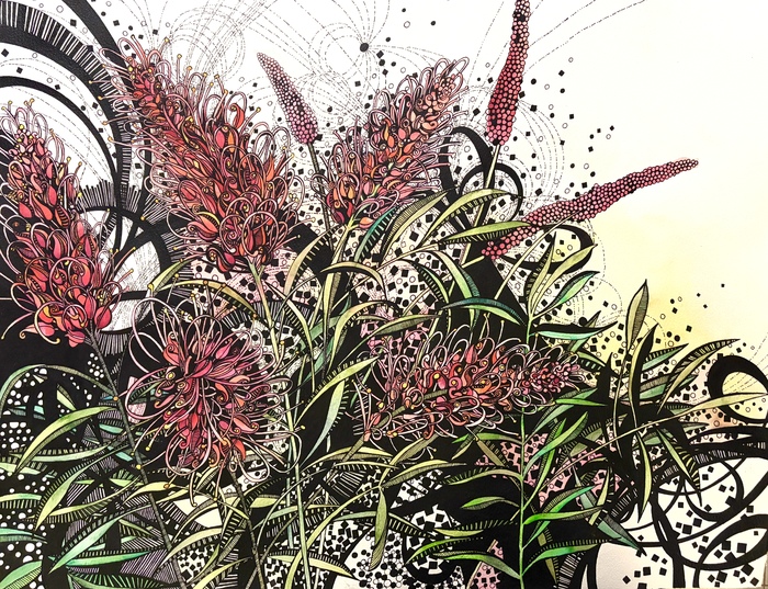 Pink Grevillea