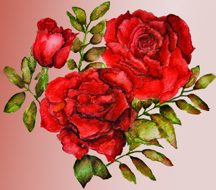 Two Red Roses