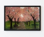 PINK SPRING