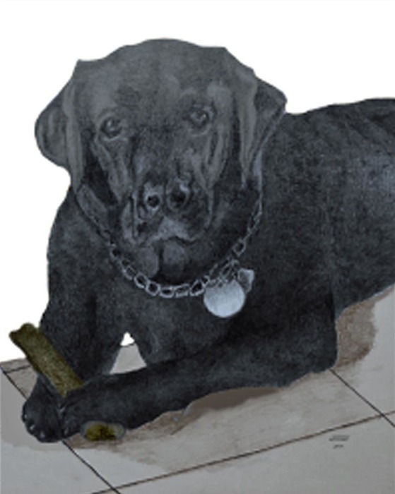 Buddy