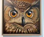 Oehoe (Eagle Owl)