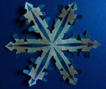 Snowflake 15