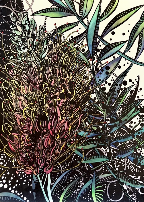 Grevillea at Twilight