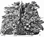 Basket of blooms