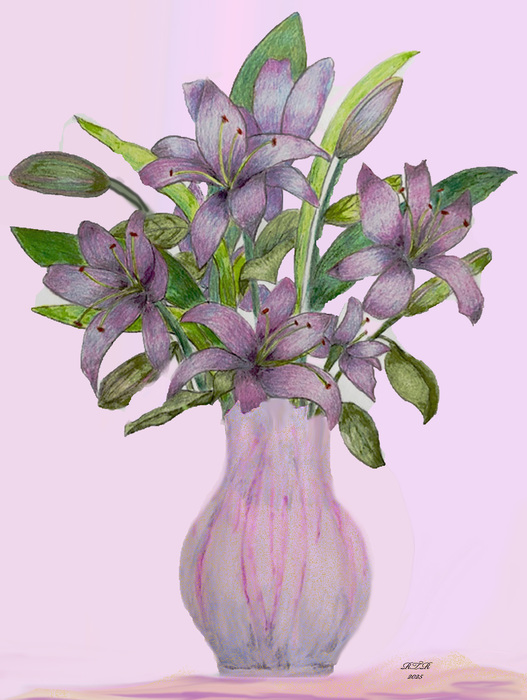 purple lilies