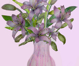 purple lilies