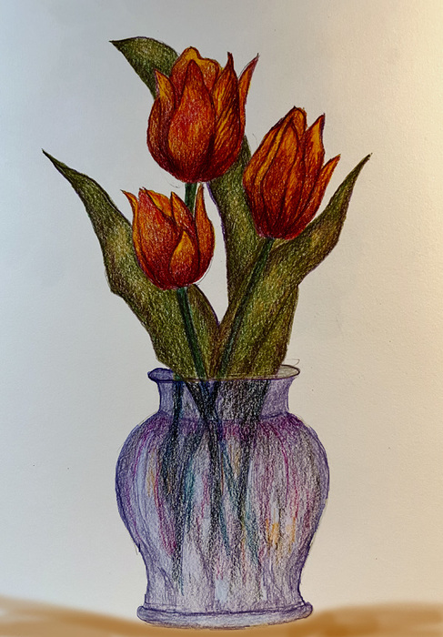 Tulip Trio