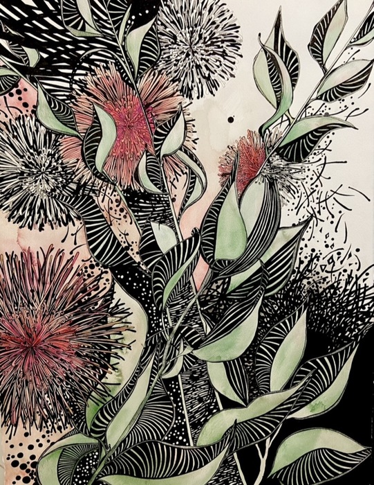Hakea Pincushion Flower in Sunlight