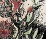 Hakea Pincushion Flower in Sunlight