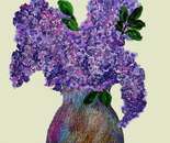 my lilacs