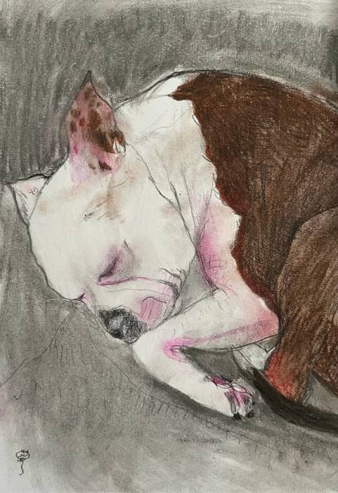 A Sleeping Angel / Saeideh Pourgholi Takrami / A5 (15 × 21 cm) / July 2026 / Colored Pencil and Pastel / $100