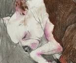 A Sleeping Angel / Saeideh Pourgholi Takrami / A5 (15 × 21 cm) / July 2026 / Colored Pencil and Pastel / $100