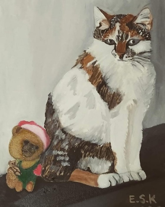 My cat Jona