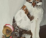 My cat Jona