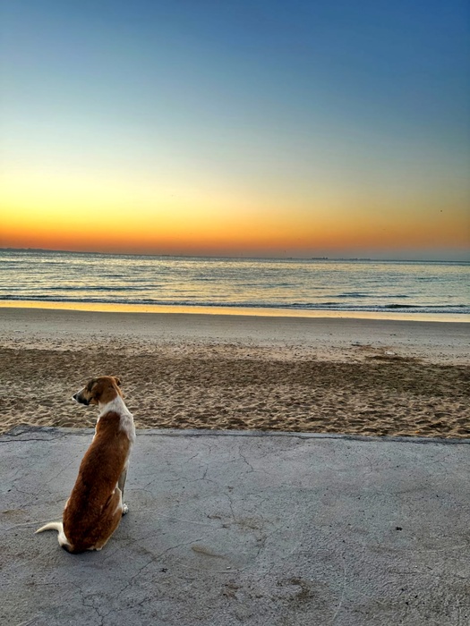 Sunrise / Neda Azizi / 20 × 30 cm / 2024 / Photography / $150