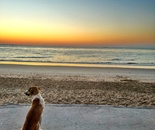 Sunrise / Neda Azizi / 20 × 30 cm / 2024 / Photography / $150