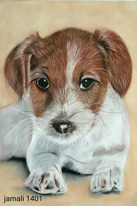 Kind Puppy / Fahimej Jamali Ghahderijani /  A4 / Pastel / Archive
