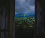The Last Dreamer / Mohammad Hesam Abdollahi / 42 × 29.7 cm / 2024 / Digital Art / $360