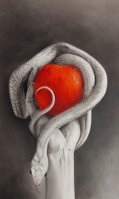 Eve’s Apple / Ghazal Ghanavati / 49 × 29 cm / 2024 / Charcoal and Colored Pencils / Negotiable