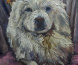 Deniz / Raya Tayebi / 30 × 40 cm / 2026 / Oil on Canvas / $110