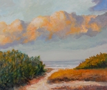 Dune Walk