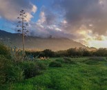 After the Rain / Naeem Eidkhani / 50 × 67 cm / 2023 / Nature Photography (Huawei Nova 5T) / Price not provided
