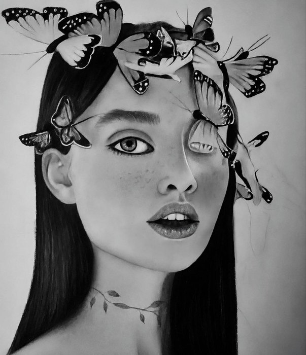 Butterflies / Parvin Pouladi / 30 × 40 cm / 2024 / Charcoal Drawing / $15