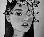 Butterflies / Parvin Pouladi / 30 × 40 cm / 2024 / Charcoal Drawing / $15