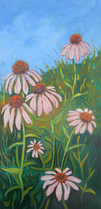 Coneflowers